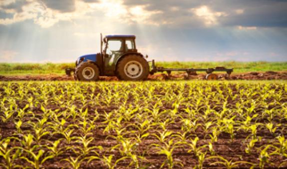 Tractor in field