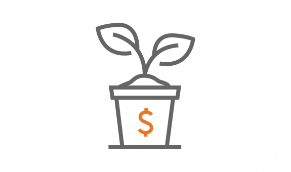 Image of plant with $ on the side 