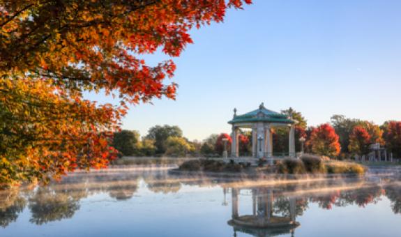 Image of Forest Park lake