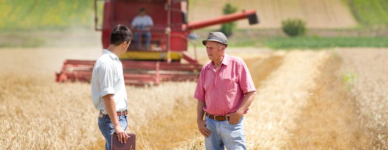 Two gentleman talking in a field