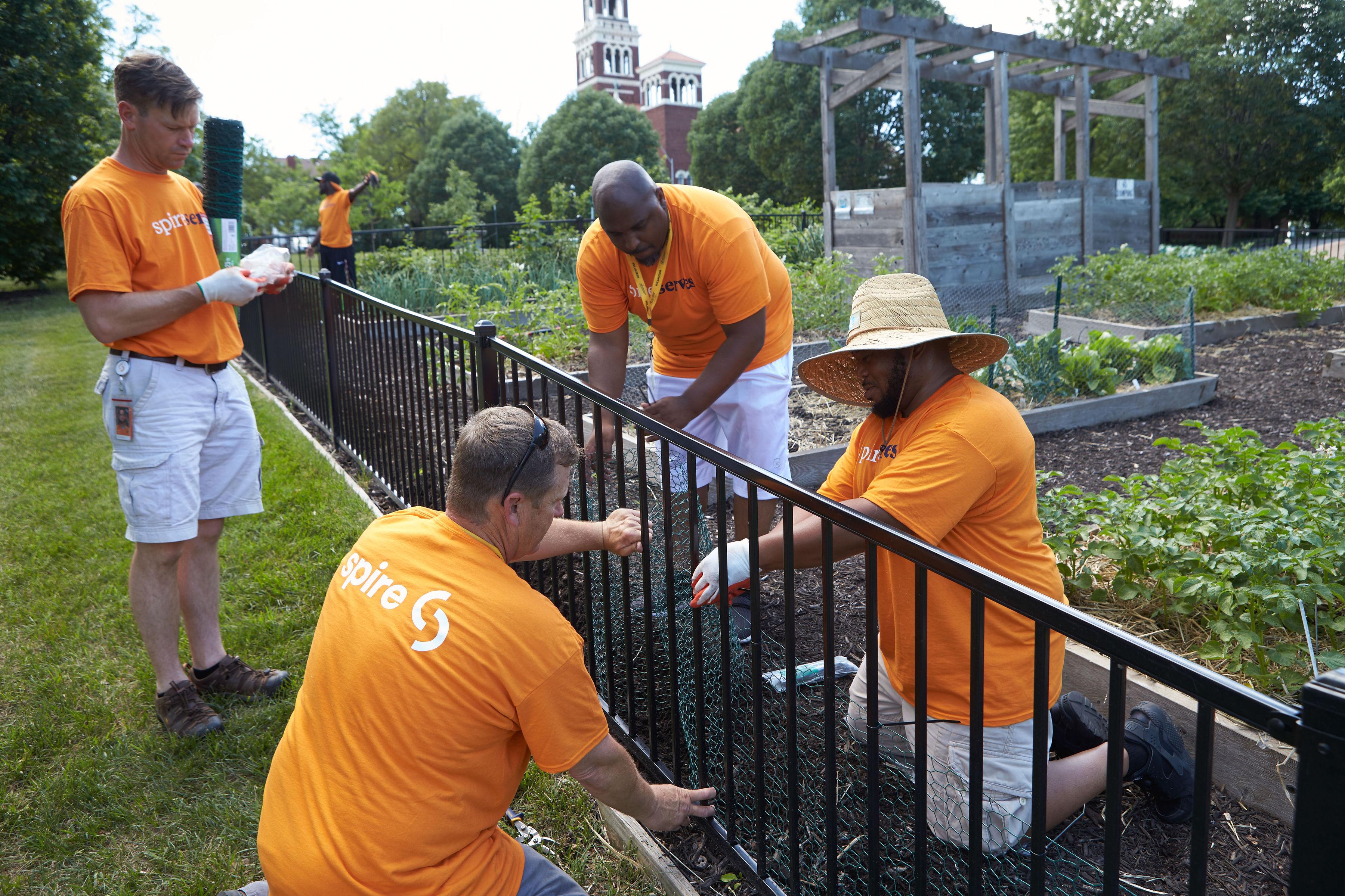 Image of: Spire volunteers working in garden