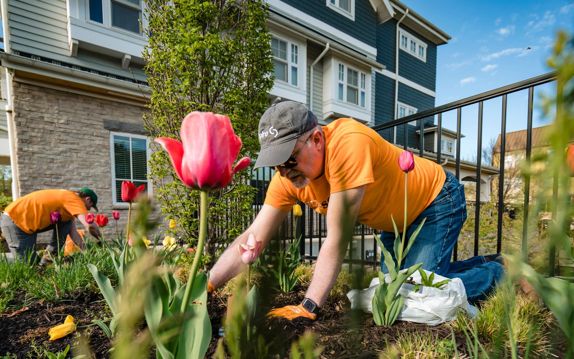 Image of Spire employee volunteering in community garden