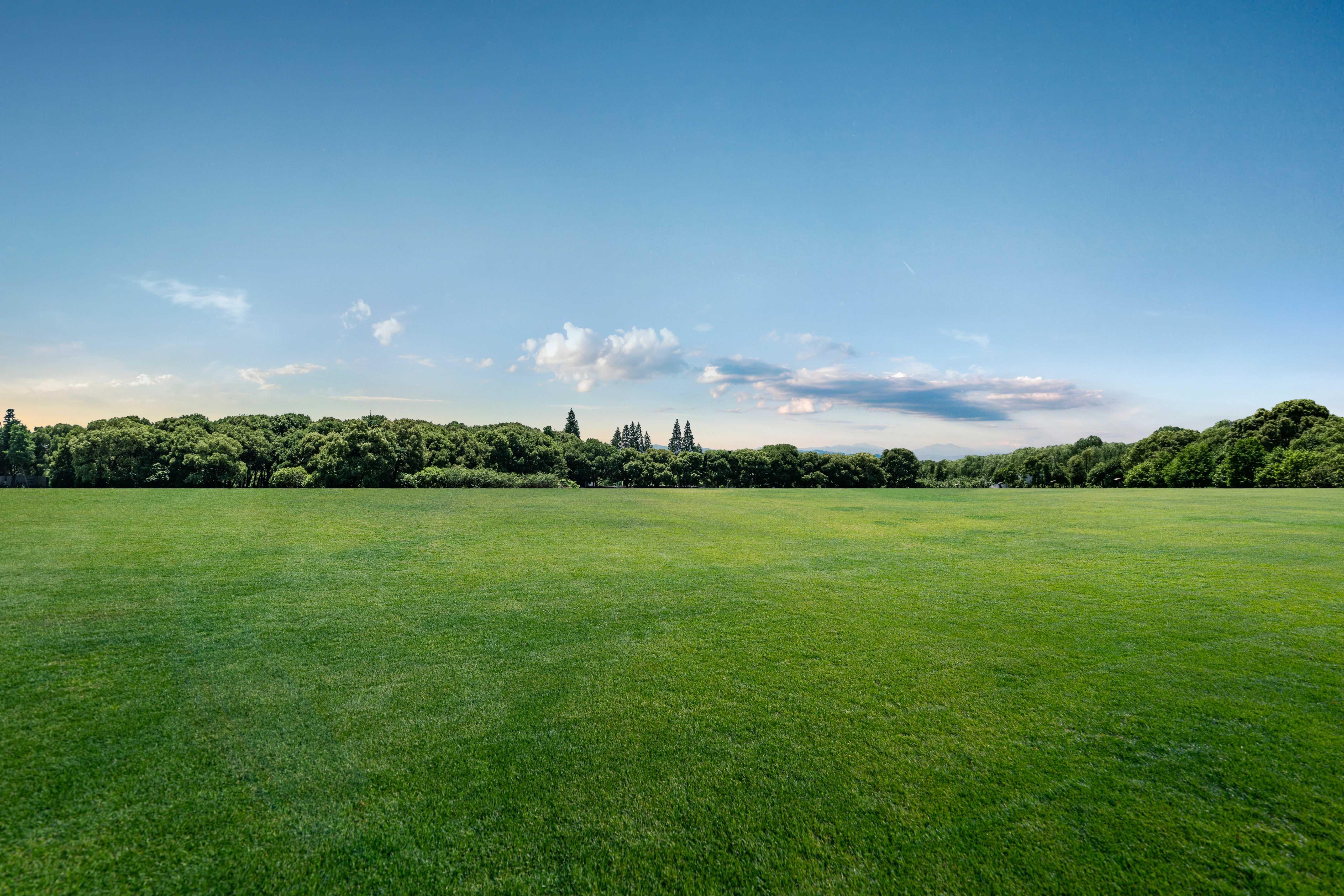 Image of a green field and blue sky