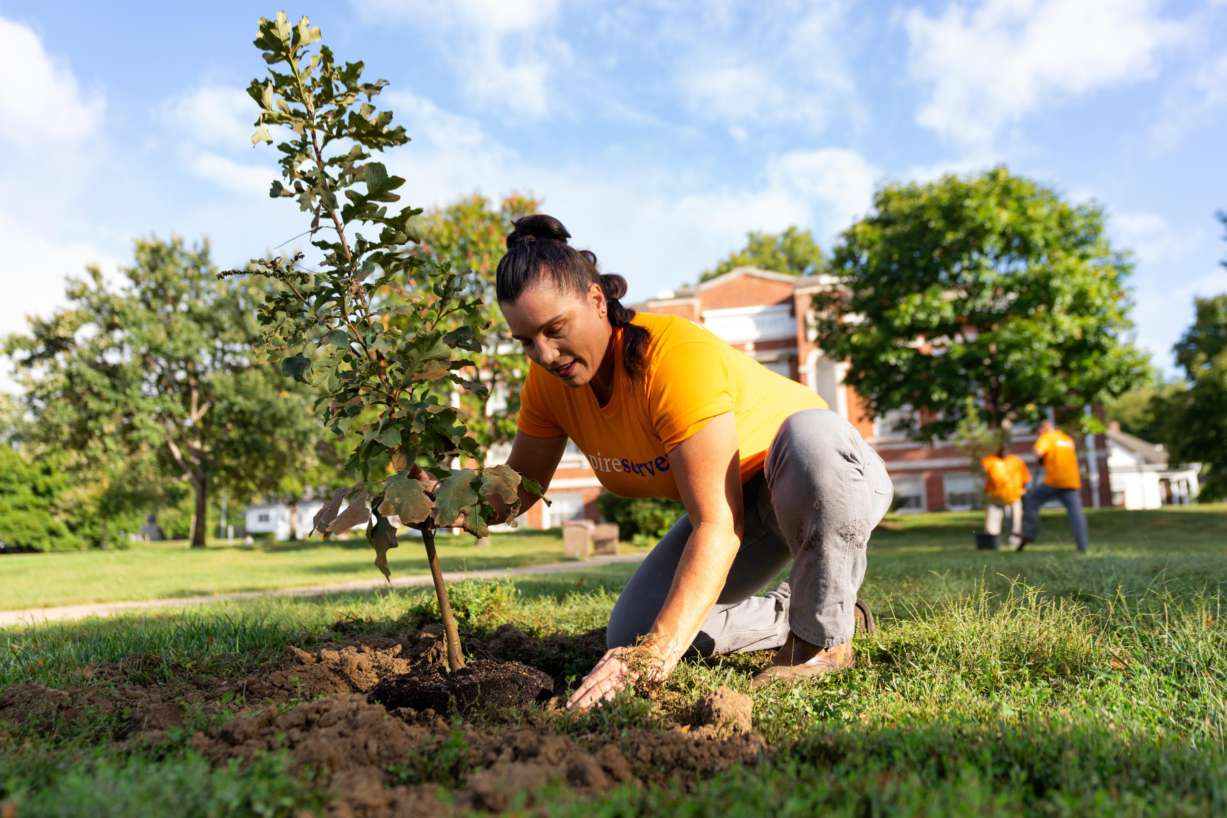Image of Spire employee planting a tree
