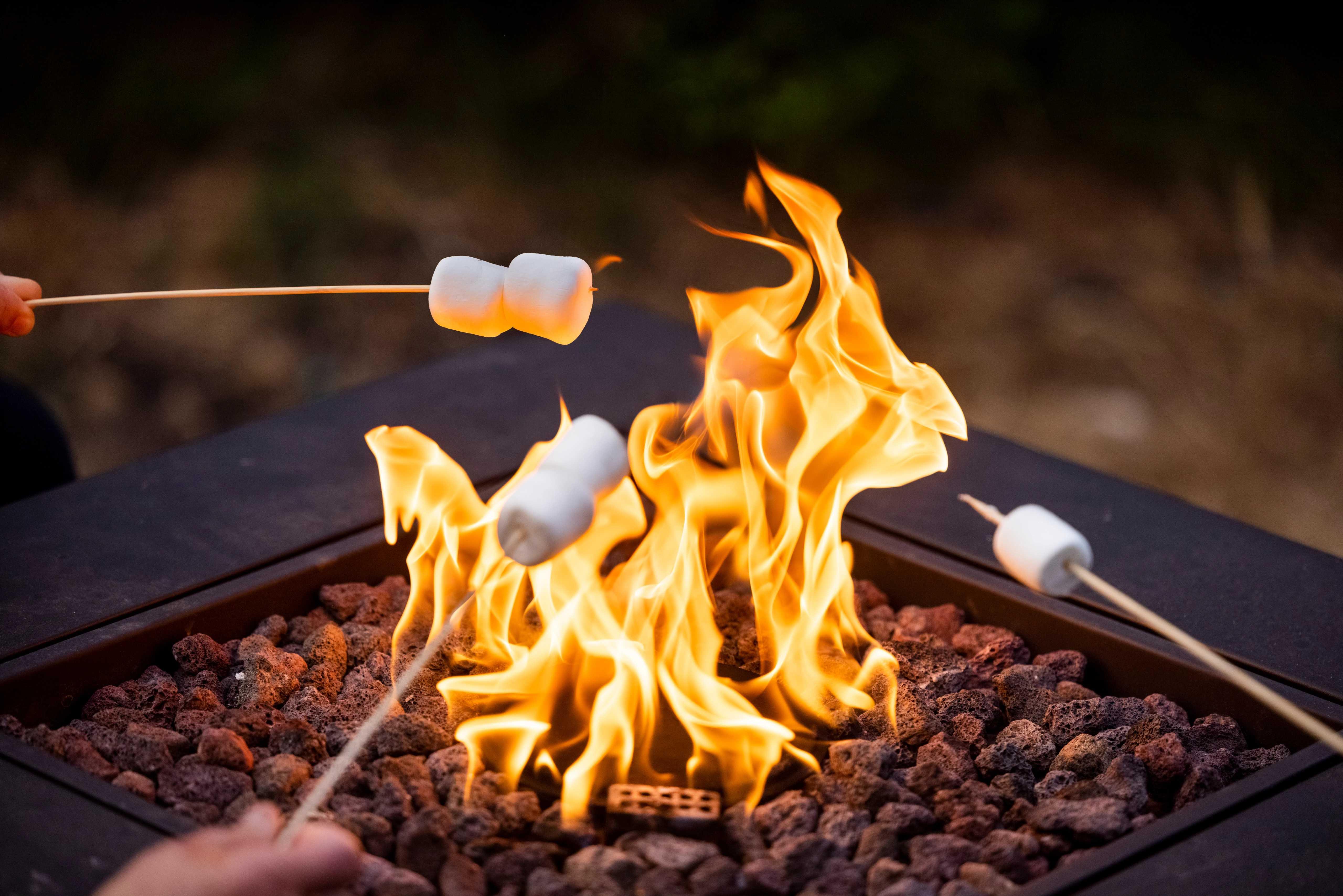 Image of friends toasting marshmallows over an outdoor fire