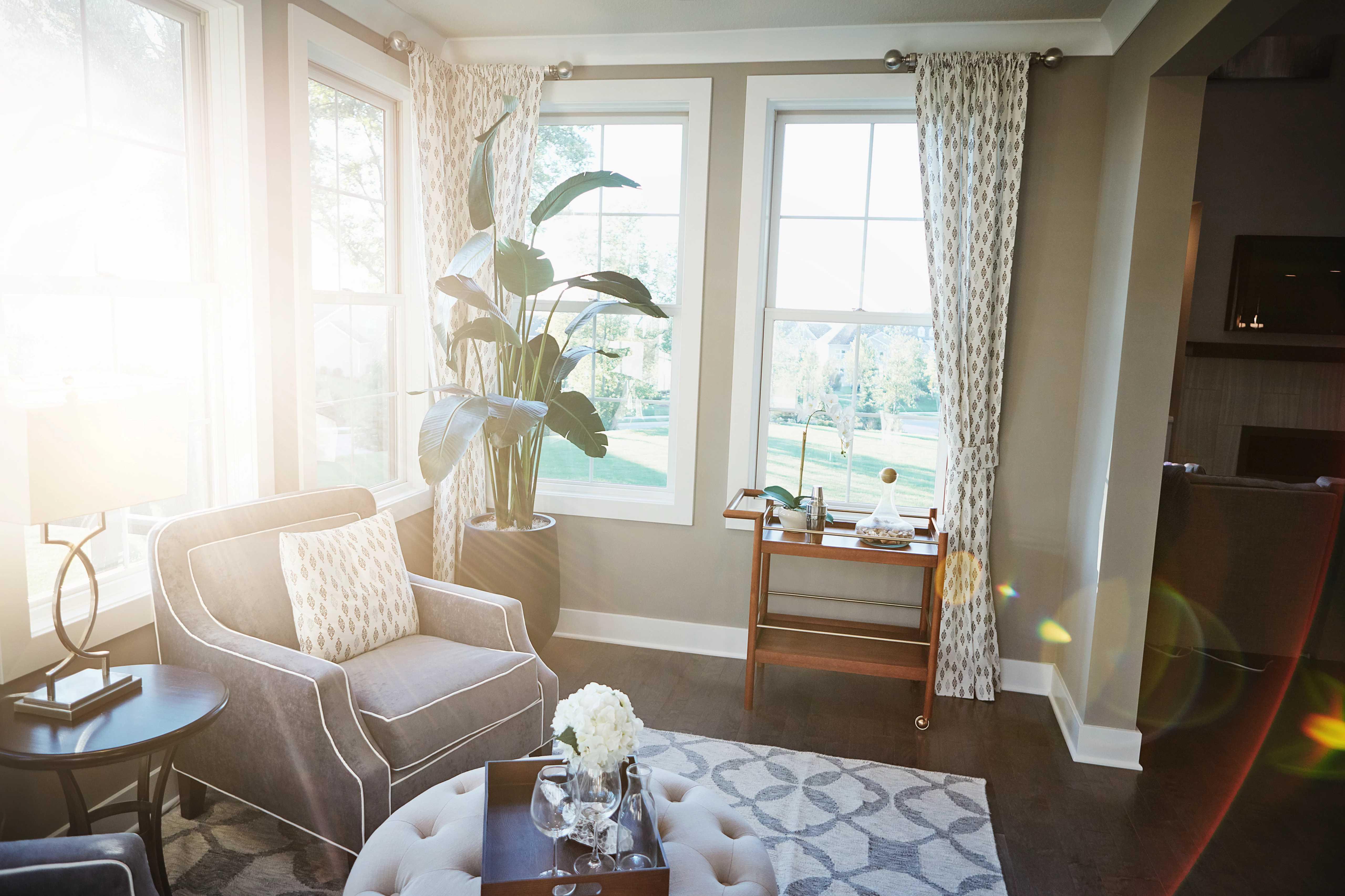 Image of a sunny living room