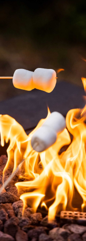 Image of fire pit